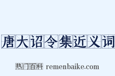 唐大诏令集近义词是什么意思的图片